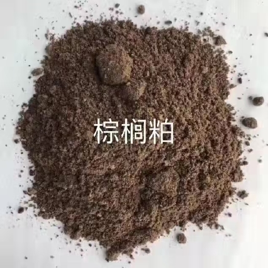天津 棕榈粕