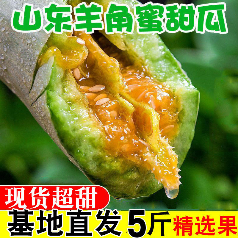青岛【包邮24小时内发货】蜜甜瓜现摘现发脆甜多汁脆瓜香瓜