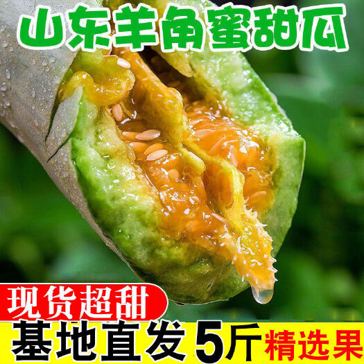 【包邮24小时内发货】蜜甜瓜现摘现发脆甜多汁脆瓜香瓜