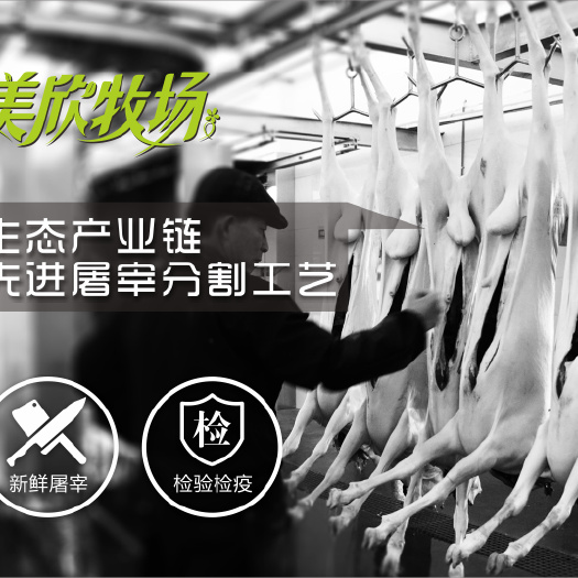 湖州白条羊 国产羊肉 带骨羊肉 生肉 羊肉整只 