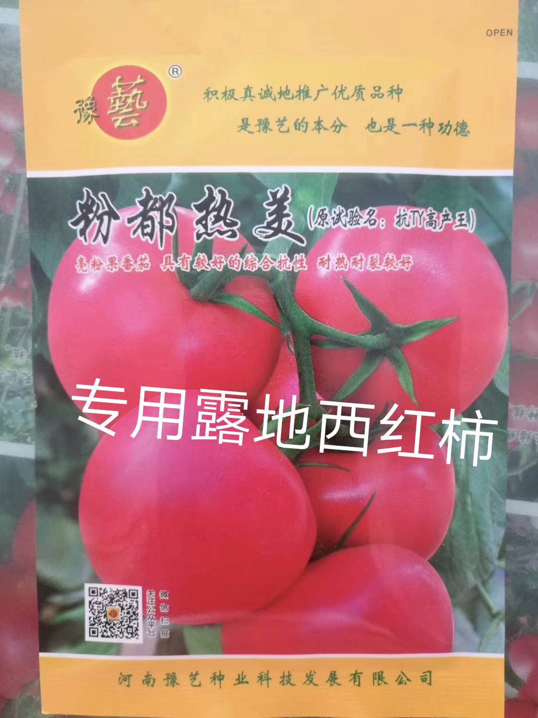 扶沟县粉都热美番茄无限生长型抗病抗裂抗线虫果形大小均匀口感非常