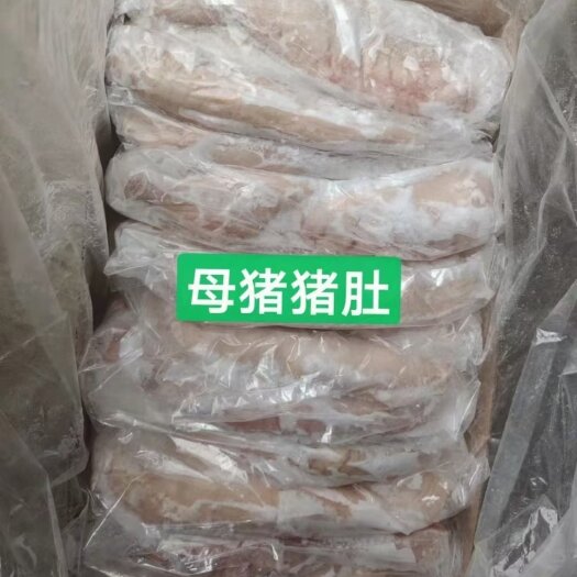 临泉县猪肚 肥猪一级肚 猪肚 肥猪大肚 纯干少油 厂家直销