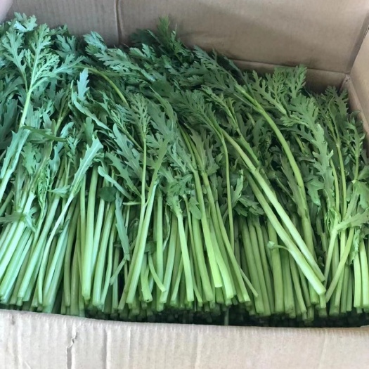 淮安本地精品干茼蒿