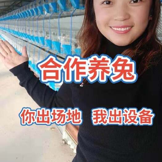 嘉祥县《合作养兔》你出场地，我出养兔设备，大型巨兔，肉兔，獭兔等