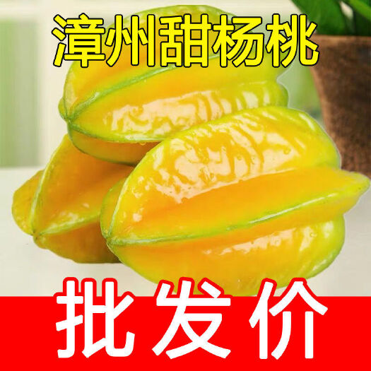 云霄县福建漳州的下河香蜜杨桃