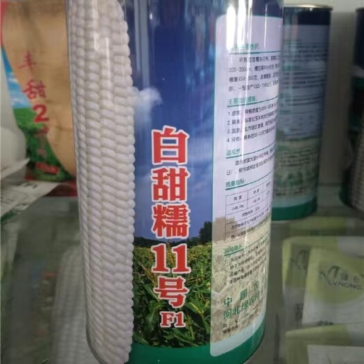 沭阳县白甜糥玉米种子