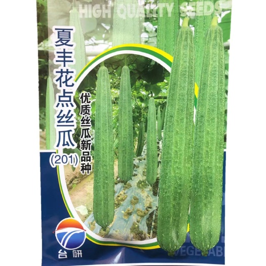夏丰花点大肉丝瓜种子瓜长42厘米单瓜450克耐热20克