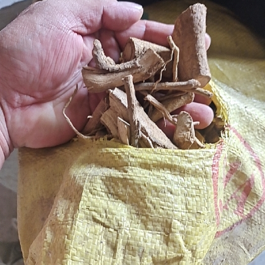 平南县天然两面针阴支切段