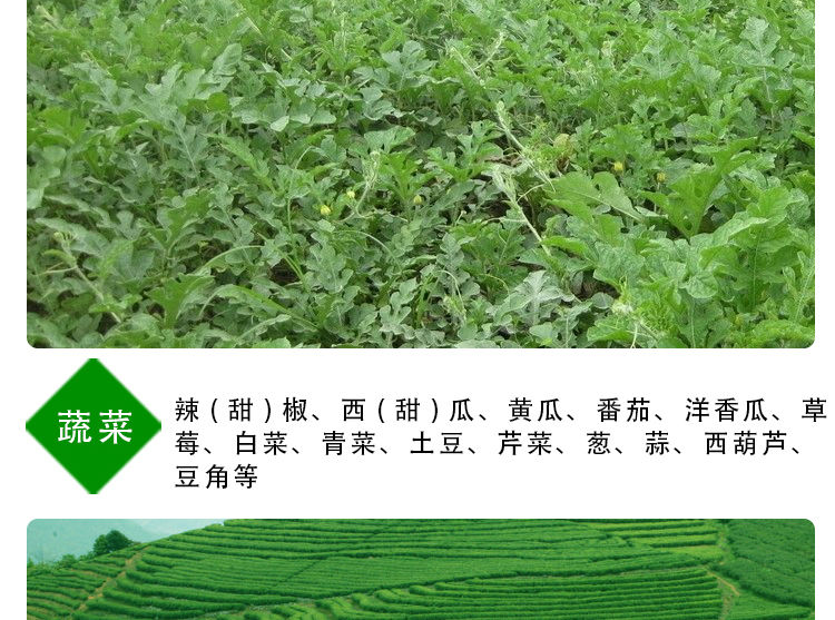 速溶硼 天丰芸苔素30克生根壮苗  保花保果叶面肥农肥含腐植