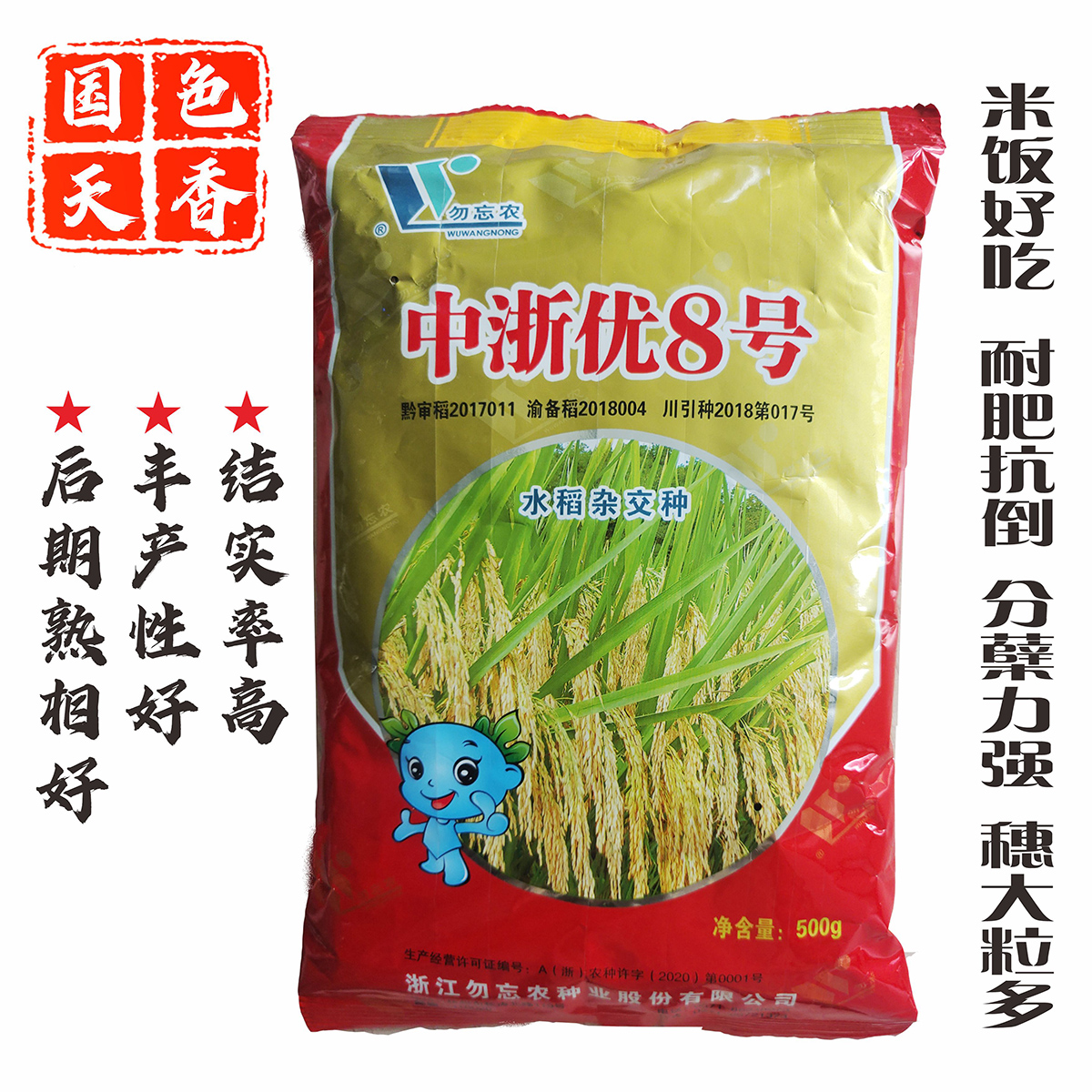 成都中浙优8号  香稻优质长粒米抗病抗倒高产杂交水稻种子 稻谷谷