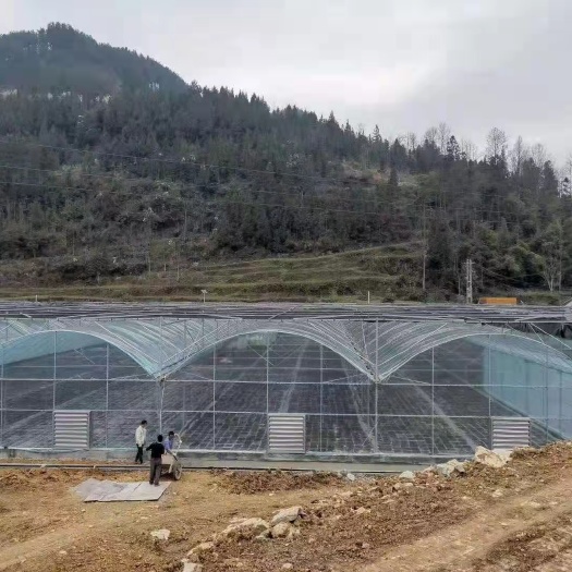 种植大棚 批发建设蔬菜大棚 保温防冻双成薄膜花卉温室大棚镀锌