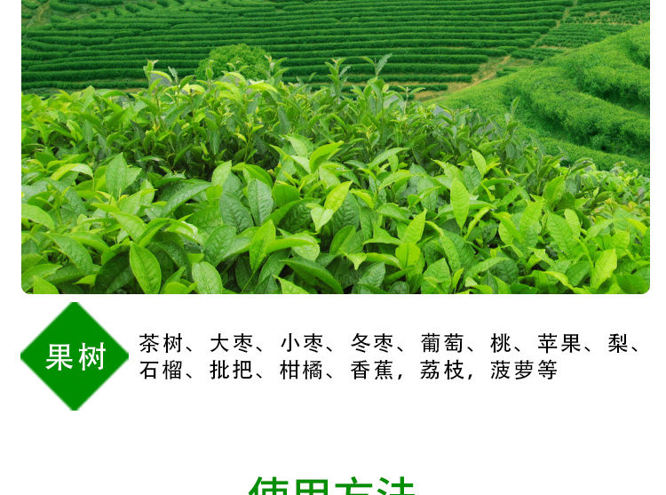 速溶硼 天丰芸苔素30克生根壮苗  保花保果叶面肥农肥含腐植