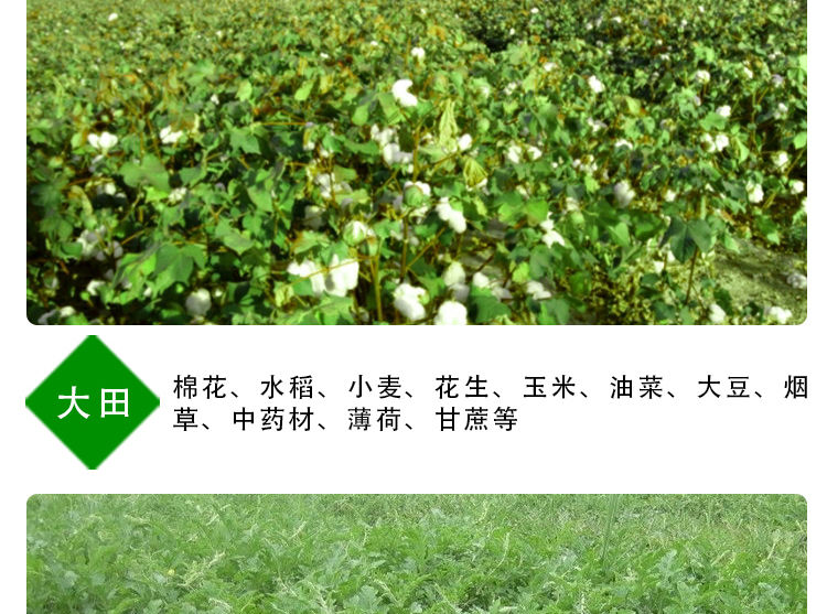 速溶硼 天丰芸苔素30克生根壮苗  保花保果叶面肥农肥含腐植