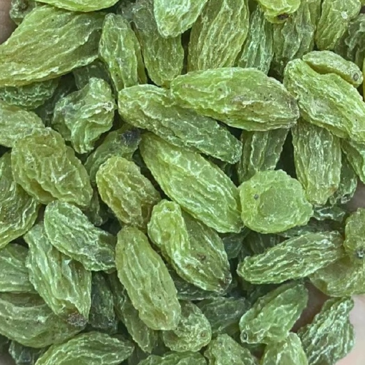 中牟县绿葡萄干  新货新疆葡萄干，新疆特产葡萄干