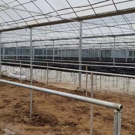 无锡Q235B镀锌管大棚 蔬菜大棚 各种瓜果大棚 大棚管 
