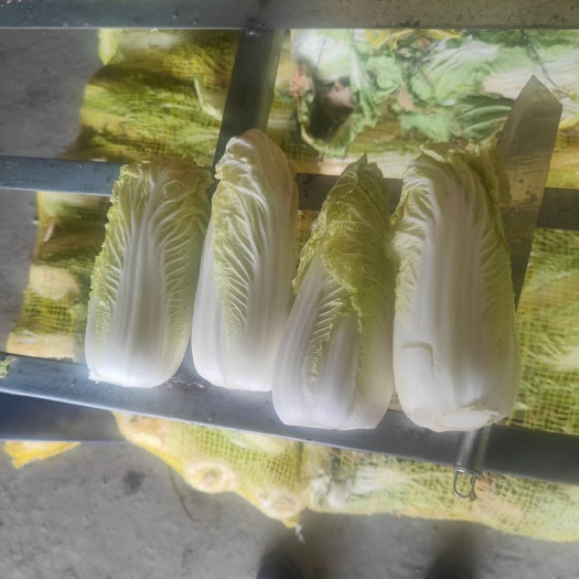 鹿邑县黄心娃娃菜 娃娃菜，鹿邑县精品娃娃菜