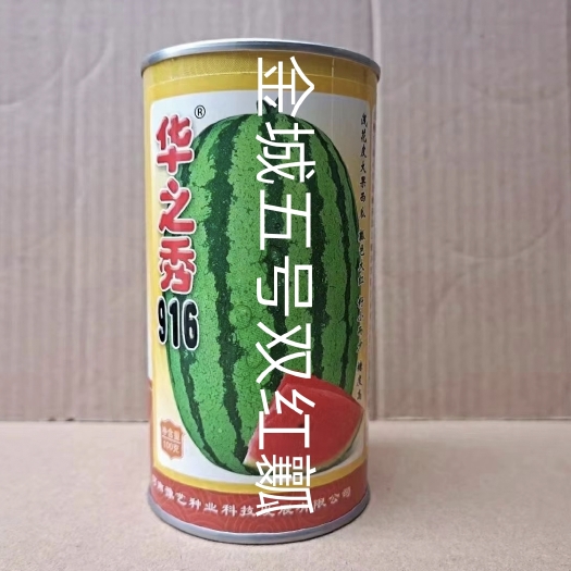 扶沟县金城五号西瓜种子  华之秀916金城五号双红瓤6500公斤1