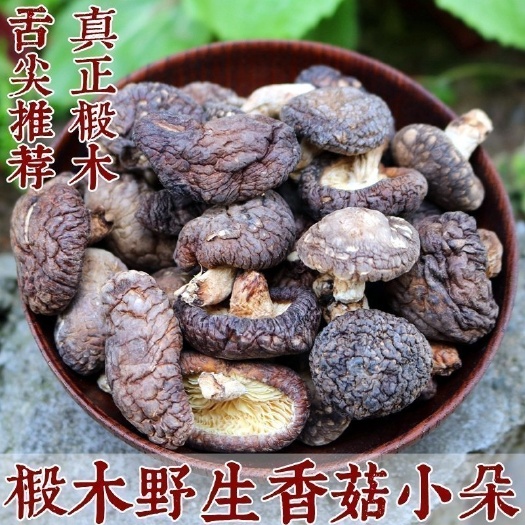 宁强县椴木菇  香菇正宗野生椴木香菇自然风干批发五斤十斤