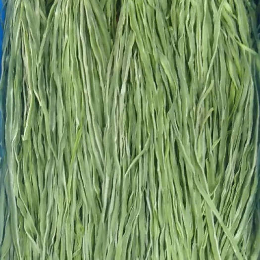 亳州贡菜
