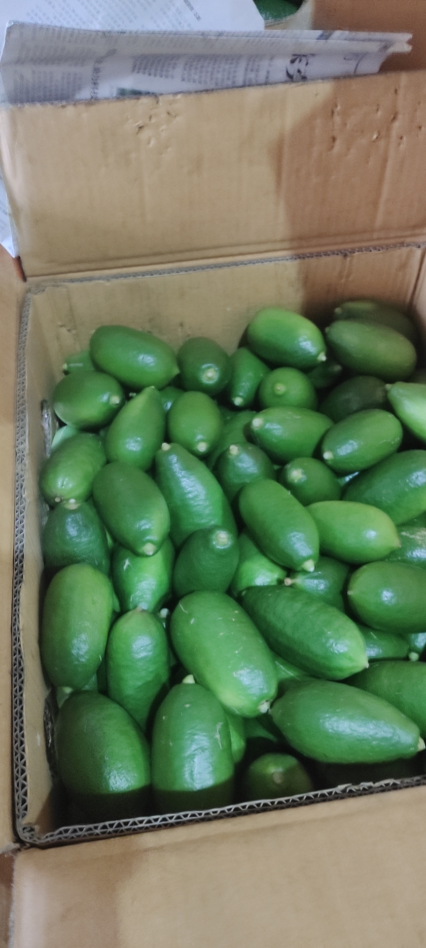 海南香水柠檬，一级果