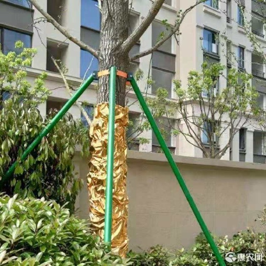 荥阳市百香果支撑架玻璃钢48*44mm市政树木支撑架围栏果苗定制