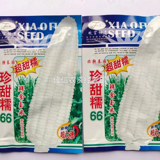 甜玉米种子 珍甜糯66糯玉米种籽产量高大田农业四季超甜糯