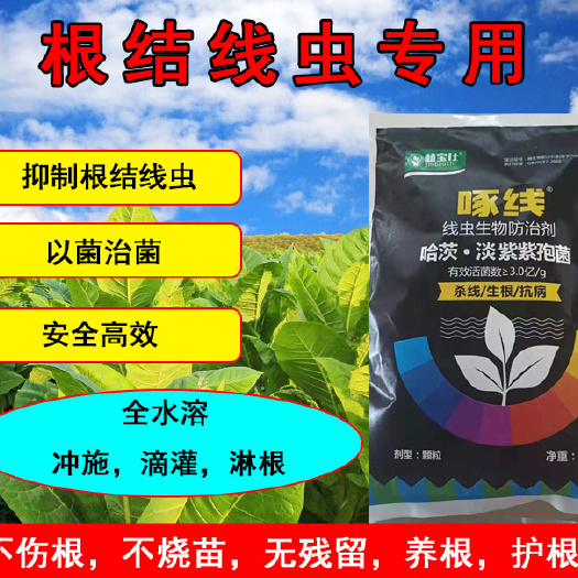 郑州芽孢杆菌  啄线防治线虫专用专杀根结线虫蔬菜瓜果果树通用