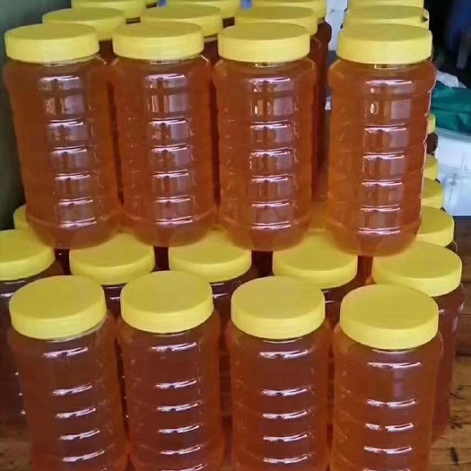 兴业县出售荔枝蜜 广西中蜂土蜂蜜 自有蜂场