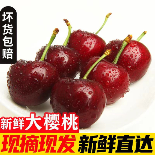 大荔县美早大樱桃，国产车厘子，地理坐标【世界八大奇迹秦兵马俑】附