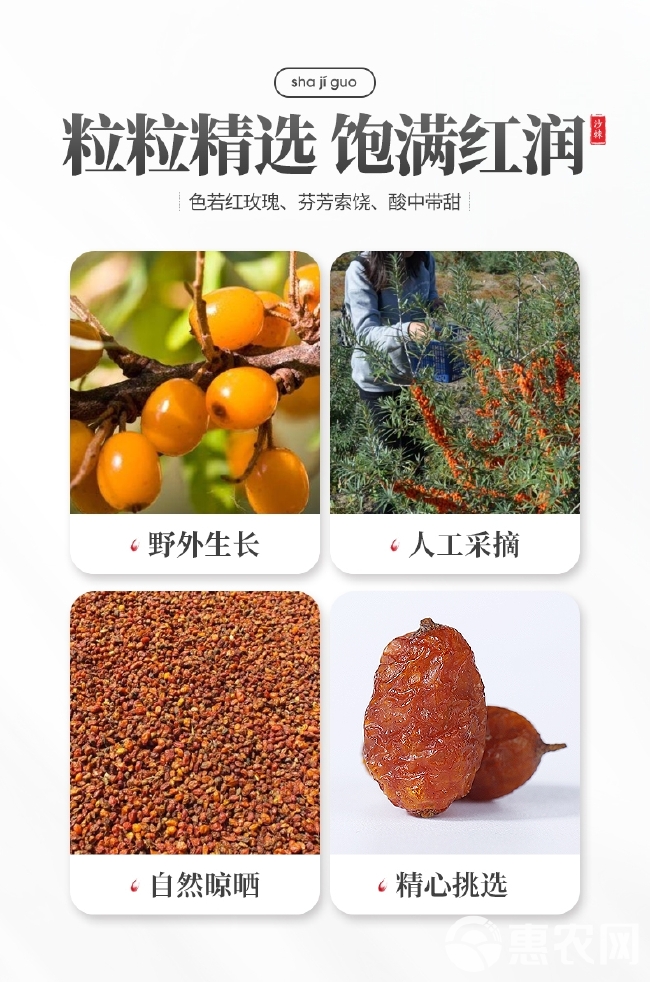 沙果干 新货沙棘干果颗粒500g果干新疆沙棘茶沙棘粉果汁原浆