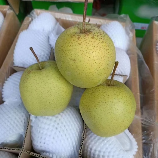 赵县赵州雪花梨，产地直销量大优惠价格优美