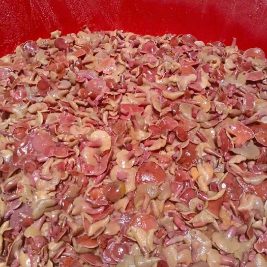 长沙黄牛肝菌 鲜牛肝菌