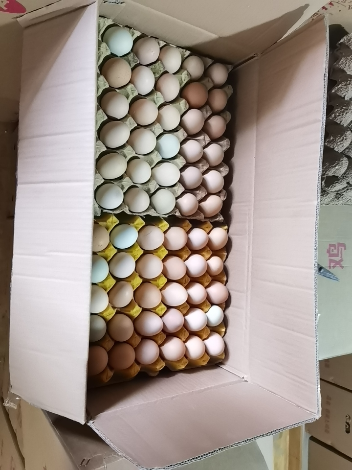 新泰市山东鸡蛋净重36-37斤/360枚厂家直发运输破损包赔