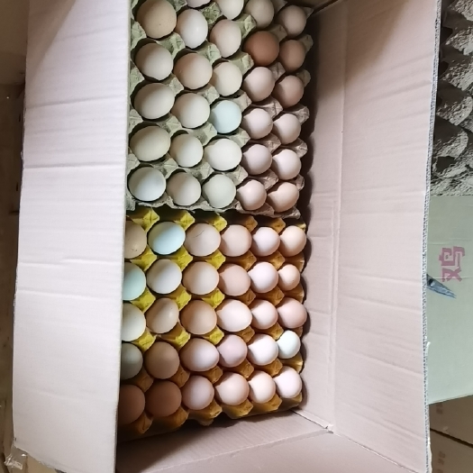 新泰市山东鸡蛋净重36-37斤/360枚厂家直发运输破损包赔