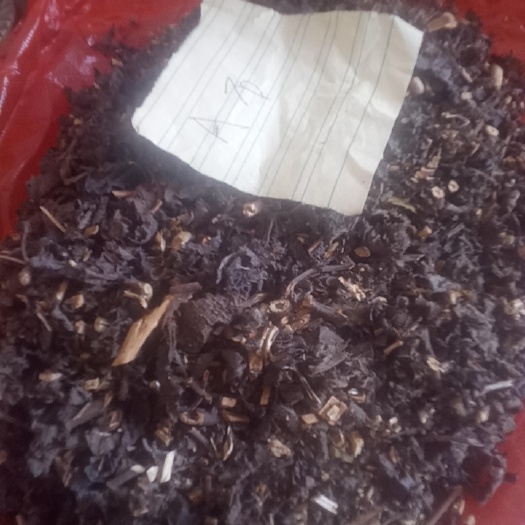 平南县化石草，白须草，猫须草