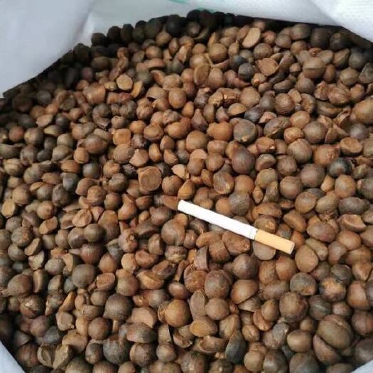 资兴市山茶油 农村土茶油