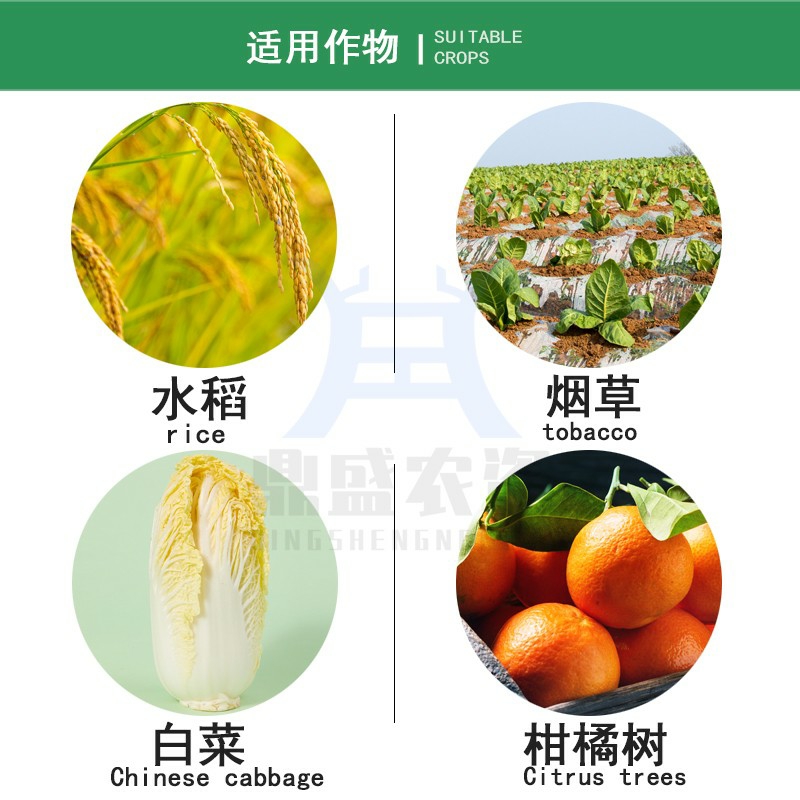 杀菌剂 枯草芽孢杆菌，软腐病，溃疡病，青枯病，