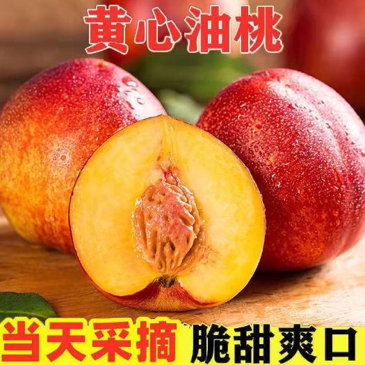 油桃黄油桃，湖北油桃(金蕾 曙光 中油系列）大量上市口感脆甜