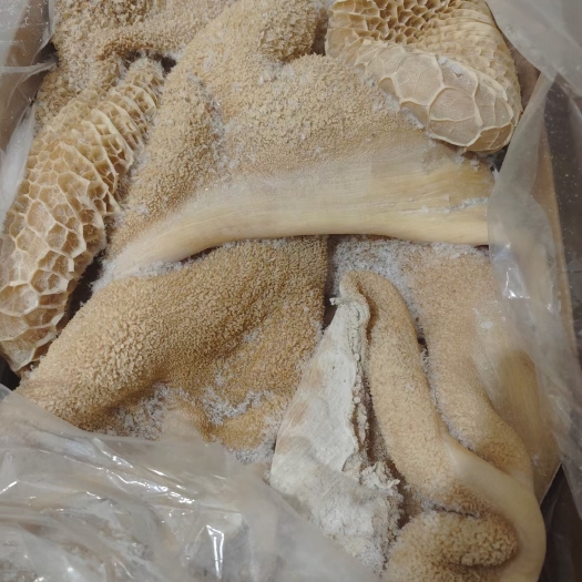 惠民县全熟牛肚