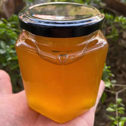 沅陵县 土蜂蜜一斤一瓶88包邮