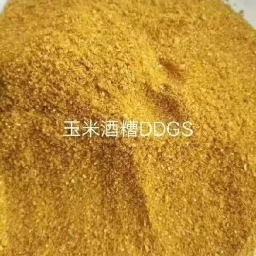 石家庄 玉米酒糟（DDGS），蛋白27. 高低脂可有，一手货源