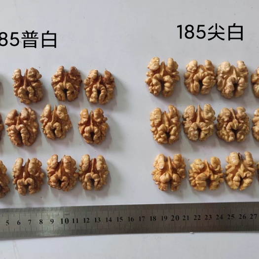 赞皇县 185核桃仁尖白，普白
