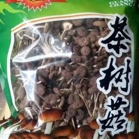 广昌县广昌5号茶树菇 食用菌