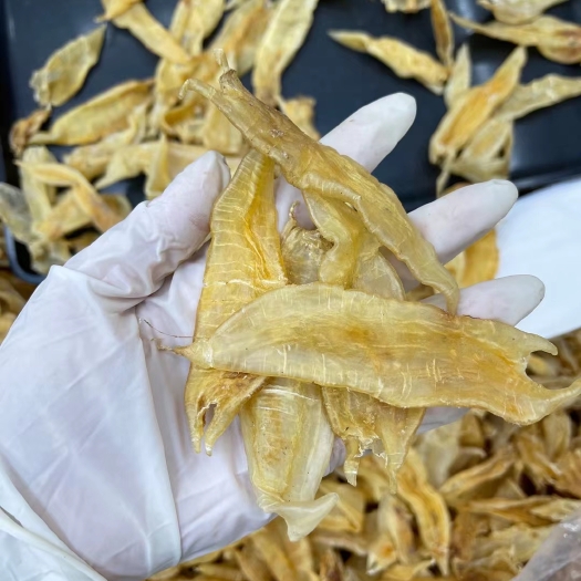 广州花胶 100头南美小金龙胶，胶质好，不药清水胶。