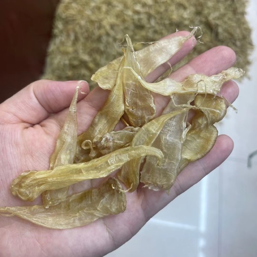 广州花胶 [爱心]600头左右豆仁公胶口感好，品质高，日常炖汤必备一斤