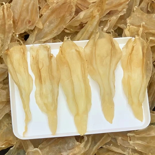 广州花胶 11头委内瑞拉北海母