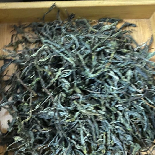 临沧古树茶 单株