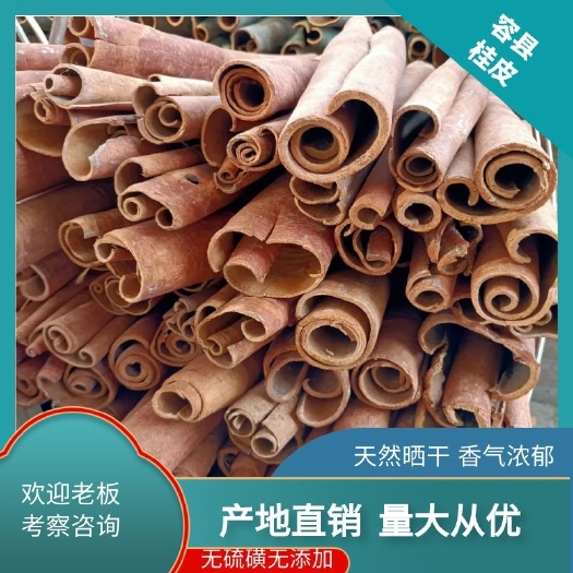 容县广西容县新鲜桂皮。烟桂，中通，桂板桂碎片 散装 批发零售