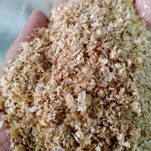 郑州麦麸 麸皮