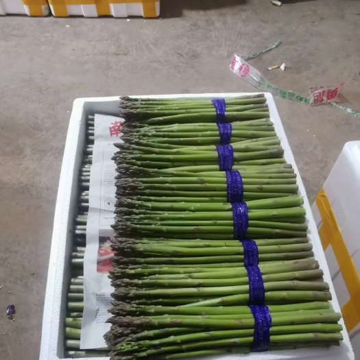 廣州綠蘆筍 蘆筍